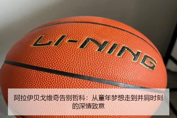 阿拉伊贝戈维奇告别哲科：从童年梦想走到并肩时刻的深情致意 | WEIDESPORT